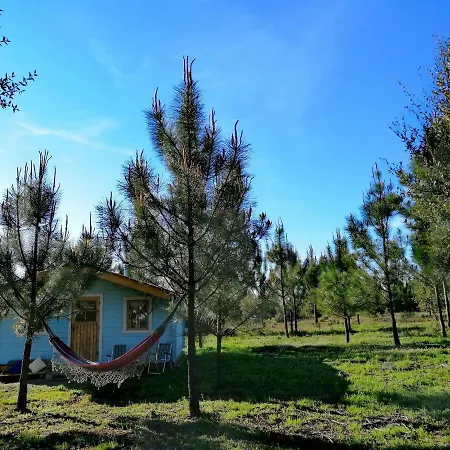 Musa Chalet אוהל מפואר *